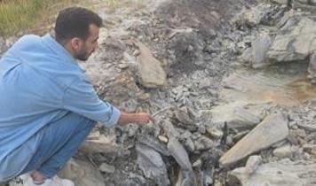Hakkari'de gizemli kükürt vadisi: İnsanlara şifa, hayvanlara ölüm
