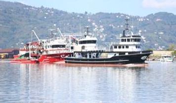 Orduda balıkçı kasaları hamsi dolu!