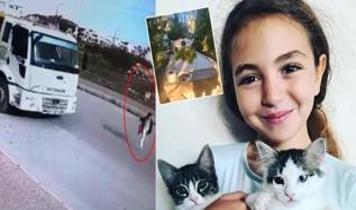 Sokak köpeklerinin kurbanı olan Mahra'nın mezarına insanlık dışı saldırı