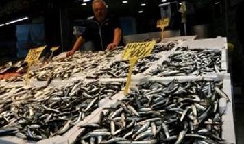 Balıkçı tezgahlarında hamsi ve istavrit 100 liradan satılıyor