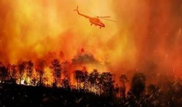 45 dakikadan 11 dakikaya düştü! Orman yangınlarıyla mücadelede ''yapay zeka'' dönemi