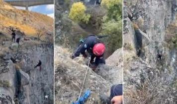 Uçurumda mahsur kalan keçi titiz bir operasyonla böyle kurtarıldı