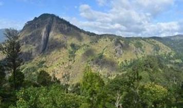 Sri Lanka'da trajik son! Doğum günü yürüyüşü ölümle bitti