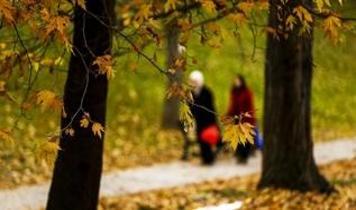 Türkiye genelinde bu hafta sıcaklıklar nasıl olacak? Hava tahmin uzmanı tarih vererek uyardı!