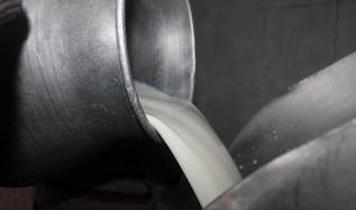 Çiğ süte yeni yağ oranı düzenlemesi