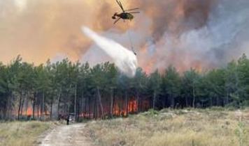 Yangın sonrası 8 bin hektar orman alanı restore edilecek