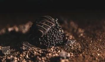 Bitter çikolatanın gizli sırrı! Beynin alarm sistemi nasıl harekete geçiyor?