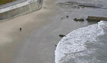 Japonya'da 6,8 büyüklüğündeki deprem... Tsunami meydana geldi