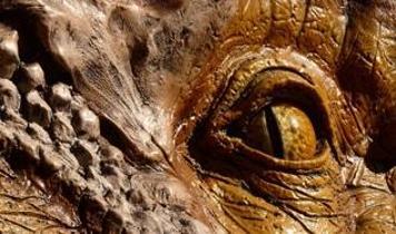 Brezilya'da 240 milyon yıllık yırtıcı kertenkele fosili bulundu