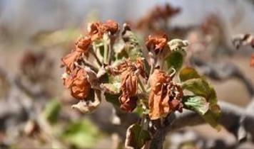 Devlet üreticinin yanında! 798 milyon lira destekleme yapıldı