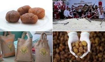 Bursa kestane şekeri ve İpsala pirinci AB'den coğrafi işaret tescili aldı