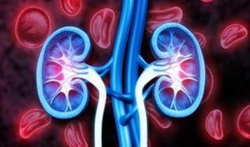 Böbrek hastalığı dünyada hızla yayılıyor