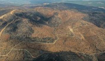 Bursa'da 953 hektarlık orman yangını sonrası yeniden yeşertme başladı