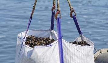 Çin'den Japonya'ya ithalat şoku! Su ürünleri yasağı