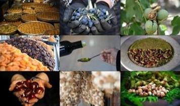 Türkiye, 22 üründe dünya ilk üçünde yer alıyor