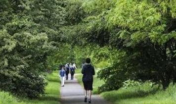 Günde 10 bin adımın faydaları efsane mi, gerçek mi?