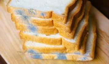 Görünüşte sağlıklı gözüken yiyeceklerde gizli küf tehlikesi