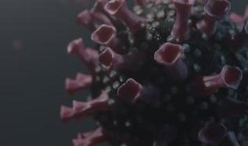 Almanya'da HIV'e karşı geliştirilen yeni antikor tıp dünyasını şaşırttı