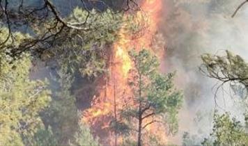 Hatay'da orman yangını: Ekipler bölgeye sevk edildi