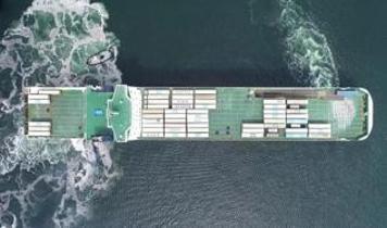 Türkiye ile Mısır, Ro-Ro hattına yeniden işlerlik kazandırılması için çalışma yürütecek