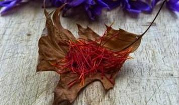 Dünyanın en değerli baharatı safran neden bu kadar pahalı?