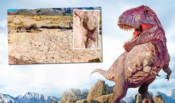 Bilim insanlarından 101 milyon yıl öncesine ait tüyler ürperten keşif! 16 bin 600 adet tespit edildi