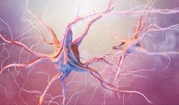 Yapay nöron gerçek beyin hücresiyle ilk kez başarıyla iletişim kurdu