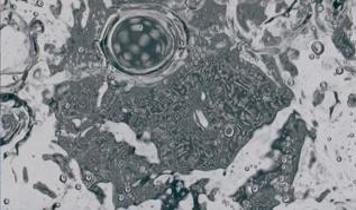 Yaşlanmayla savaşan yeni ilaç sınıfı bilim insanları tarafından keşfedildi