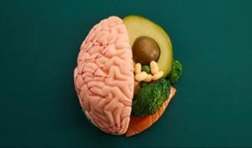 Kalori kısıtlaması beyin yaşlanmasına karşı koruma sağlayabilir