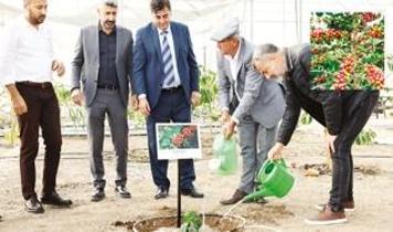 Türk kahvesinin üretimi de Türk olacak