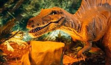 Çin'de 200 milyon yıllık dinozor izleri keşfedildi