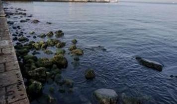 İzmir'de denizde erkek cesedi bulundu