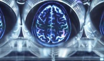 Beyniniz için en büyük kötülük ne? Nörologlar açıklıyor