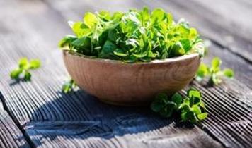 Pahalı süper gıdaları unutun: Dünyanın en sağlıklı gıdası derelerde bulunuyor