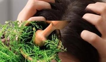 At kuyruğu yağı saç bakımında doğal çözüm sunuyor