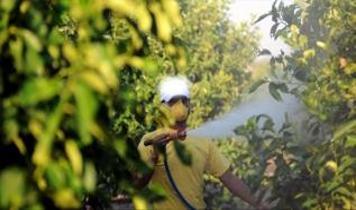 Zehirlenme vakaları sonrası yeni tedbir! Artık zorunlu oldu