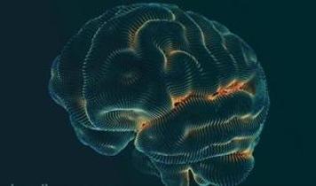 Bilim insanları beyin sağlığını korumada yeni yol buldu