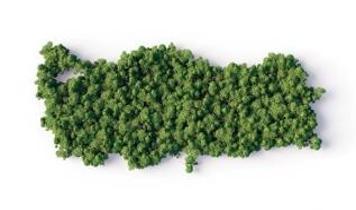 İklim eyleminde Türkiye vurgusu! Liderlik rolü üstleniyor