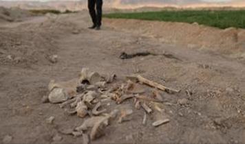 Suriye'de toplu mezar bulundu