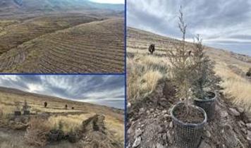 Iğdır üniversitesi hava kirliliğine karşı 3 bin dönüm ormanlık alan oluşturuyor