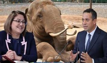 ''Gabi'' iddiası ortalığı karıştırdı! Şahin'den CHP'li Başarır'a videolu cevap