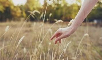 İnsanlar nesneleri dokunmadan hissedebiliyor mu? Bilim insanlarından çarpıcı keşif