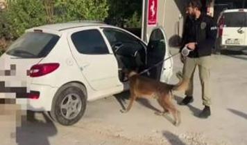 Adana'da zehir operasyonu! Damacanalardan 28 kilo sıvı uyuşturucu çıktı