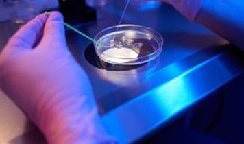 Süt proteininden biyolojik olarak parçalanabilir plastik geliştirildi