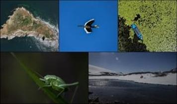 Biyolojik çeşitliliği tahrip edenlere yüzde 25,49 oranında ceza artışı