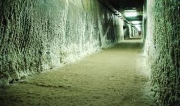 Doğu Avrupa'da yeni bir savunma hattı mı kuruluyor? Polonya'nın İHA projesinin perde arkası