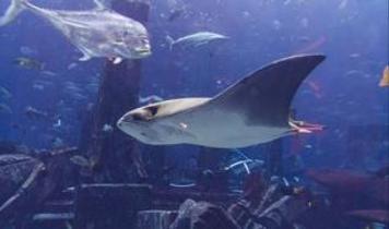 Bilim insanları deniz tabanında Atlantis'e giden yolu mu buldu?