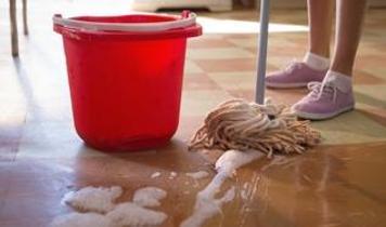 Zeminleriniz ne kadar sık paspaslanmalı? Temizlik profesyonellerinden pratik rehber