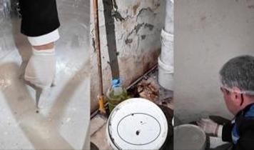 Fırında mide bulandırıcı görüntüler: Kemik parçaları, böcek ve örümcek bulundu