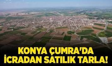 Konya Çumra'da icradan satılık tarla!